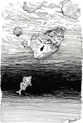 Des poissons sous le plastique