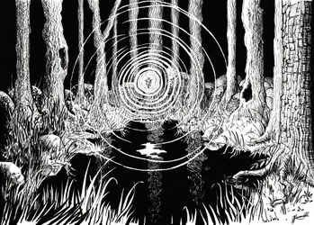 Les ondulations de la forêt mystique