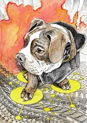 Le périple mouvementé de Puppy