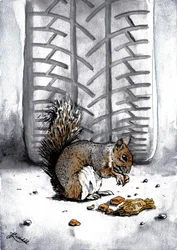 « Écureuil » par Tire Track
