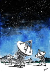 Télescopes « Nuit étoilée »
