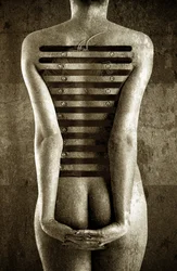 Corps, 2013