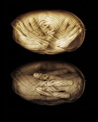 Mains de fil, 2013