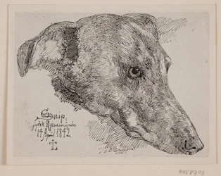Danois : Hundehoved, Snip