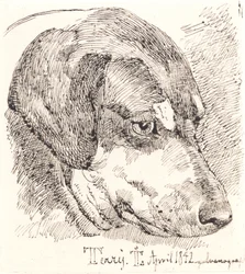 Danois : Tête de chien, Terry