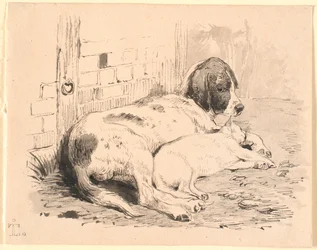 Les deux amis
