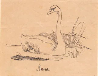 Un cygne