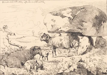 Moutons près d