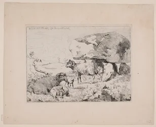 Moutons près d