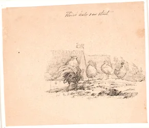 Le coq. Illustration pour "Fabler for Børn" de Kaalund