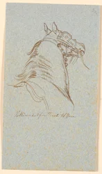 Tête et cou d