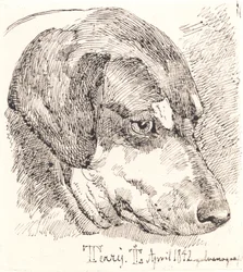 Tête de chien, Terry