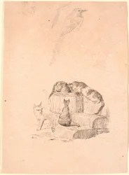 Les chats. En haut, étude au crayon d