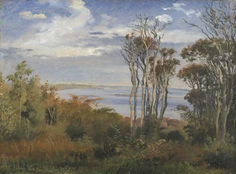 Bois de Kolås, Vejrhøj