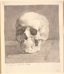 Crâne, vue de face