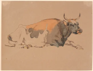Vache couchée rouge et noire