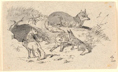 Le renard