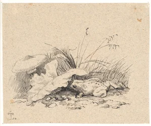 Crapaud