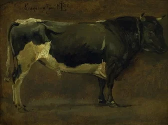Taureau noir et blanc