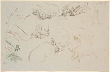 Feuille d