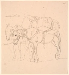 Deux chevaux avec des bagages
