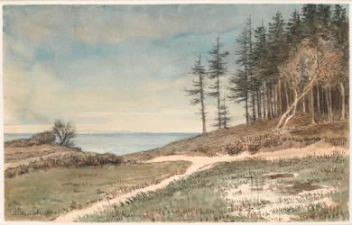 Vue vers Kullen depuis la plage de Hellebæk