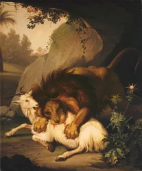 Un lion attaquant une chèvre, 1785