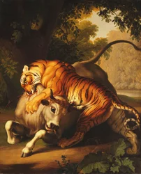 Un tigre attaquant un taureau, 1785