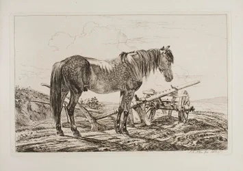 Cheval près d