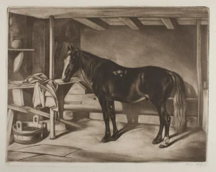Cheval dans une écurie