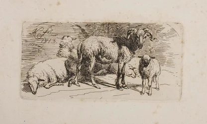 Un bélier, trois moutons et un agneau