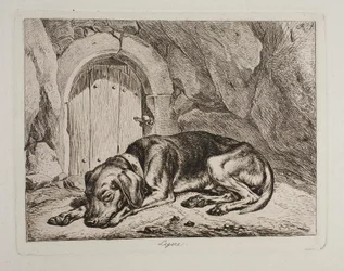 Le chien Legere