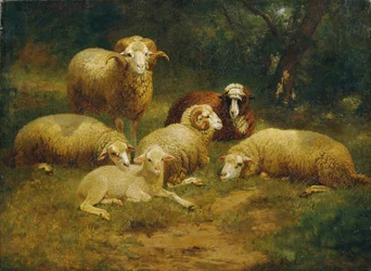 Moutons