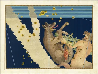 Johann Bayer, Lupus et Centaurus
