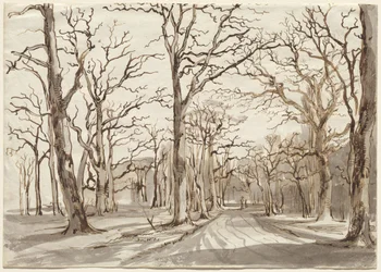 Un chemin forestier à Rosenthal en hiver