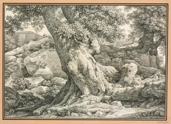 Étude d