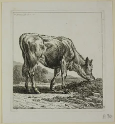 Veau se nourrissant, de Die Zweite Thierfolge