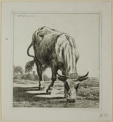 Vache buvant, de Die Zweite Thierfolge