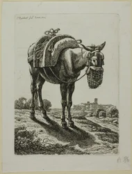 Mule nourrie - Devant, de Die Zweite Thierfolge