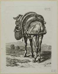 Mule nourrie - Arrière, de Die Zweite Thierfolge