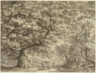 Paysage