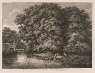 Le moulin près des grands chênes