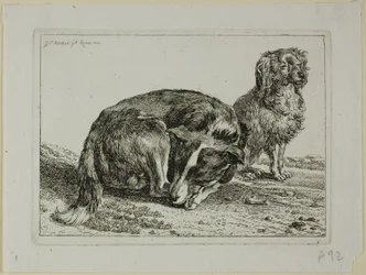 Deux chiens au repos, de Die Zweite Thierfolge