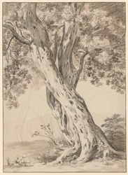 Deux Chênes Entrelacés