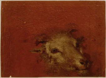 Tête de chèvre
