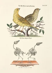 Marteau jaune avec squelette