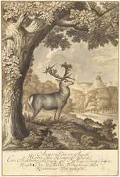Un cerf sous un chêne majestueux