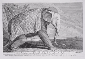 Un éléphant