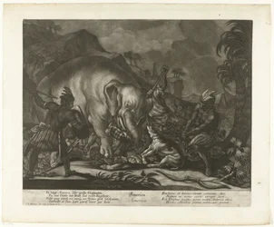 Chasse aux éléphants