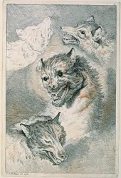 Quatre têtes de loup